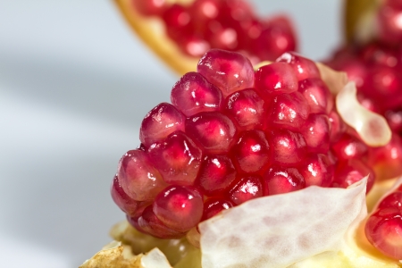 Red pomegranate seeds on white background の写真素材