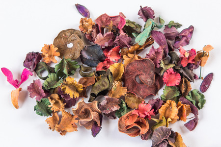 Bright color, dried leaf flowers made of natural things. on a white backgroundの写真素材