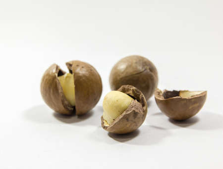 Macadamia nuts on a white background, taken close in the studio.の写真素材