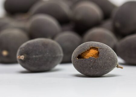 The Velvet tamarind ( Dialium cochinchinense ) Fruit native Thailand, isolated on white backgroundの写真素材