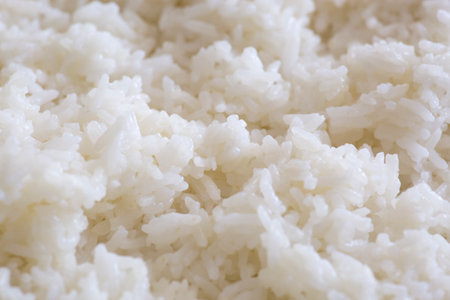 Rice Simple plain maki ingredientの写真素材