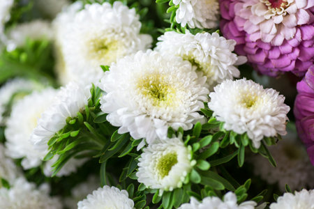 Bouquet of white and pink chrysanthemum flowers Assorted Flowers blooming macro photography