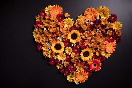 Heart of colorful flowers on black background. Valentine's day concept.の写真素材