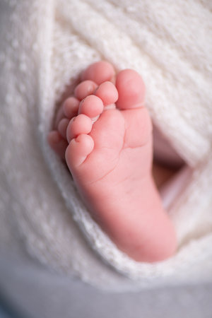 Feet of newborn baby wrapped in a white towel, closeupの写真素材