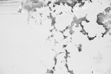 old grunge wall texture. background for design. black and white