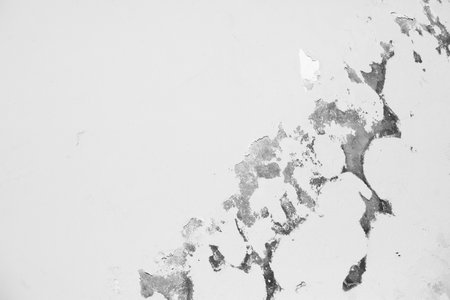 old grunge background texture with space for text or image. black and whiteの写真素材