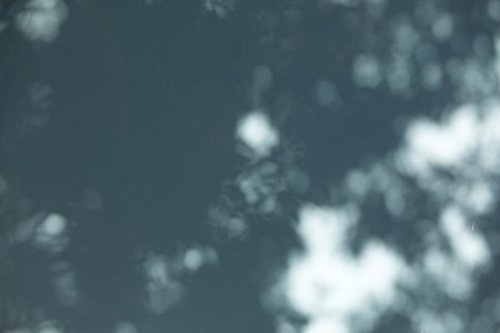 abstract background of shadows from tree branches on a blue wall.