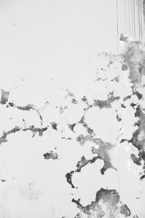Old grunge wall texture. Abstract background for design. Black and white.の写真素材