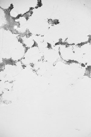 Grunge white wall texture. Background for design. Toned.の写真素材