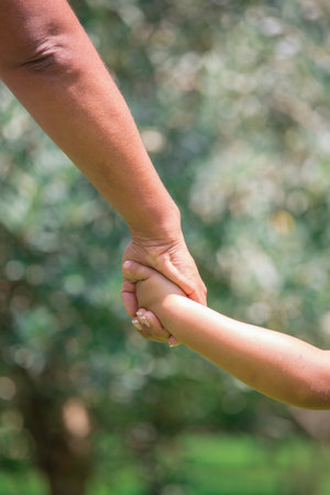 Close-up of mother and son holding hands in olive groveの写真素材