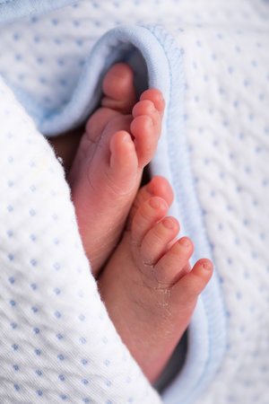 Newborn baby feet in a blue blanket. Shallow depth of field.の写真素材