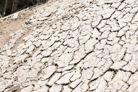 Dry cracked earth background. Global warming and climate change concept.の写真素材