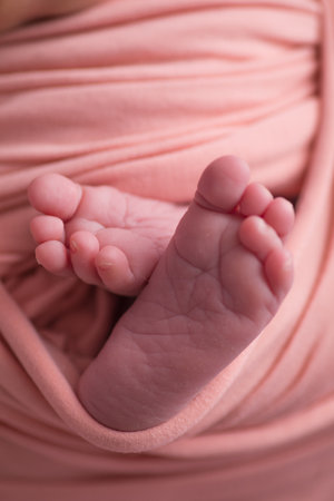 Feet of a newborn baby wrapped in a pink blanket closeupの写真素材