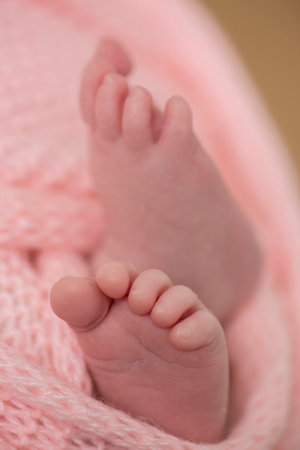 Feet of a newborn baby wrapped in a pink knitted blanketの写真素材
