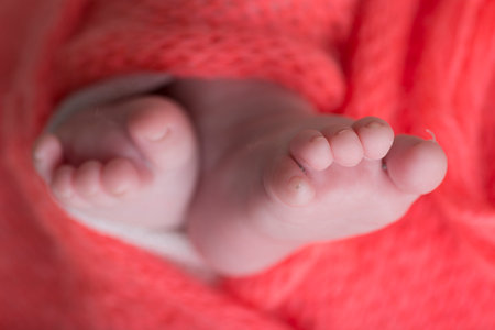 Feet of a newborn baby wrapped in a warm red blanket.の写真素材