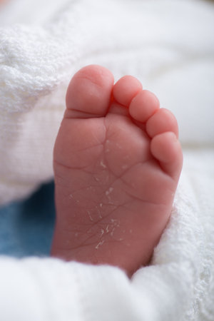 Feet of a newborn baby wrapped in a white towel closeupの写真素材