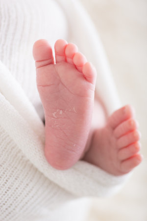 Newborn baby feet on a white blanket. Shallow depth of fieldの写真素材