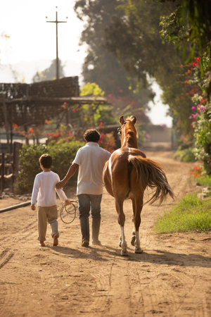 Father and son walking with a horse in the paddock at sunsetの写真素材