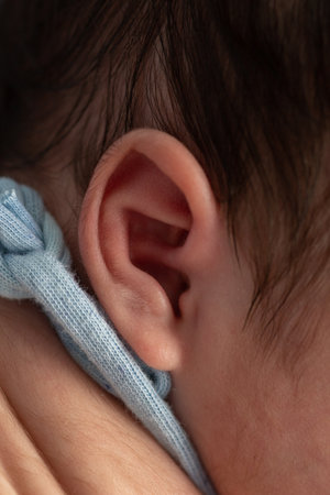 Close-up of a baby's ear with a blue ribbon.の写真素材
