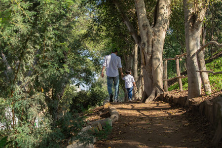 father and son walking on the path in the park in the summer