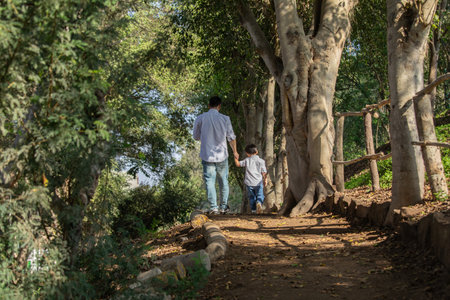 Father and son walking in the park. Back view. Concept of friendly family.の写真素材