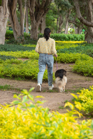 Asian woman walking with her dog in the park. Back view.の写真素材