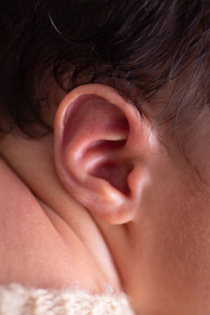 Close-up of newborn baby's ear, shallow depth of fieldの写真素材