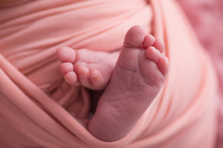 Feet of a newborn baby wrapped in a soft pink blanket.の写真素材