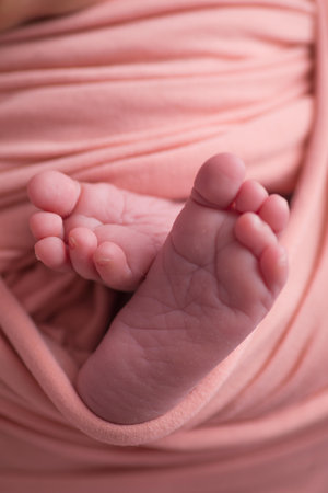 Feet of a newborn baby in a pink towel, closeupの写真素材