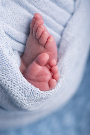 Newborn baby feet in a blue blanket, close-up.の写真素材