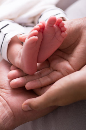 Baby feet in mother's hands, close-up. Parent and childの写真素材