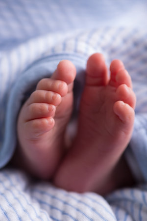 Newborn baby feet in a blue blanket, close-up.の写真素材