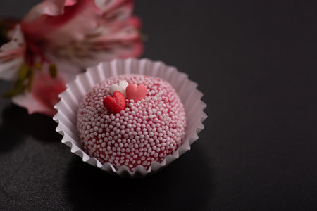Brigadeiro traditional Brazilian sweet dessert Handmade chocolate candies on wooden background. Selective focus.の写真素材