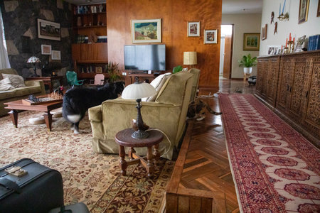 Interior of a living room with a sofa, armchair and coffee tableの写真素材