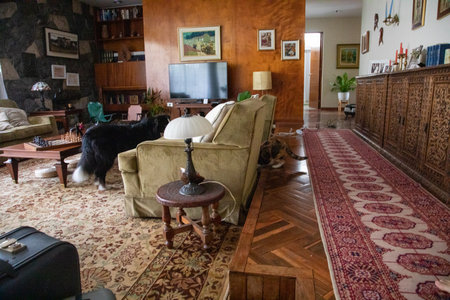 Interior of a living room in an old house with furniture and a dogの写真素材