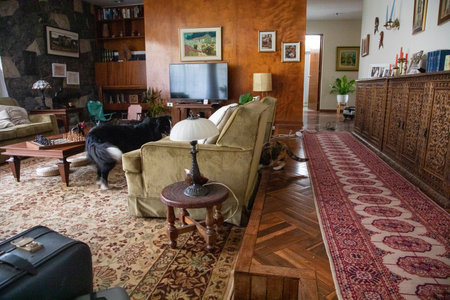 Interior view of a living room in an old house with a catの写真素材