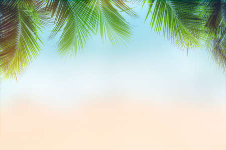 Sunny tropical beach with palm trees and turquoise water. Summer background conceptの写真素材