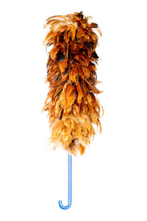 Feather duster isolated on white backgroundの写真素材