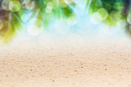 Sunny tropical beach with palm trees and turquoise water. Summerの写真素材