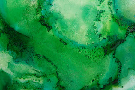 Green alcohol Ink fluid background. Art painting