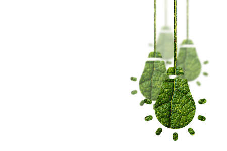 Lighting switch on green leaf background. Health care concept. Green Energy. Sustainable Climate Visualsの写真素材