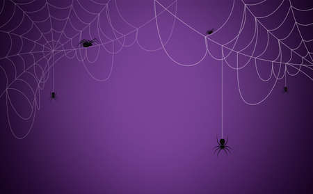 Halloween background concept. Spider and cobweb backgroundのイラスト素材