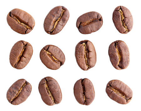 Collection of coffee bean isolated on white background, clipping path.の写真素材