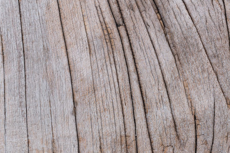 Closeup of old wooden surface with natural cracks and textured grain. Perfect for background, rustic...