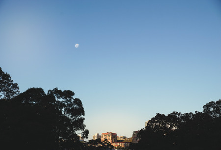 The moon on blue sky in the evening above the tree and building with copy space on skyの写真素材