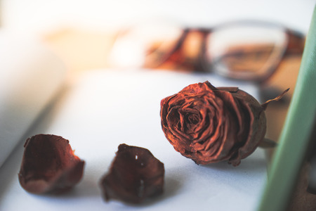 close up selective witerd old rusty brown rose on blank white book with blurry glasses and vintage mint green typewritier in backgroundの写真素材
