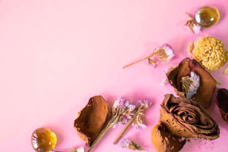 selective foucs withered rose and lavender on pink backgroundの写真素材