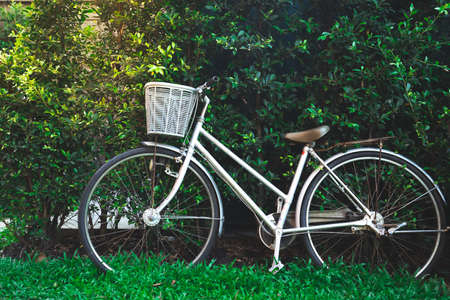 white vintage bicycle parks on green grass field against  with green leafs wall background