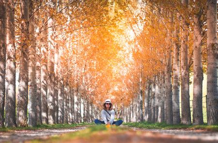 A traveller woman sits in the middle walk way of yellow colour pine tree in summer in New Zealand.の写真素材