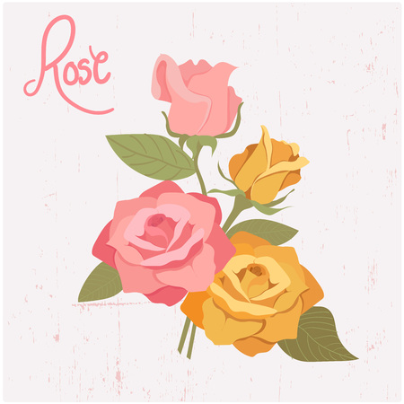 vector collection of pink and yellow realistic rosesのイラスト素材